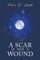 A Scar is Not a Wound