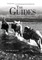 The Guides