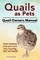 Quails as Pets. Quail Owners Manual. Quail keeping pros and cons, care, housing, diet and health.