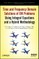 Time and Frequency Domain Solutions of Em Problems