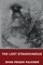 The Lost Stradivarius
