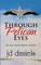 Through Pelican Eyes
