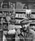 Parks, G: Herklas Brown and Maine, 1944