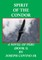 Spirit of the Condor