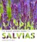 The Plant Lover's Guide to Salvias