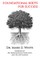 Foundational Roots for Success