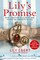 Ebert, L: Lily's Promise