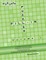 Fill-In Puzzles