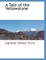 A Tale of the Yellowstone