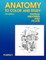 Anatomy to Color and Study Thorax Third Edition