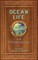 Ocean Life in the Old Sailing Ship Days