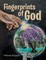 Fingerprints of God