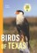 Birds of Texas
