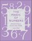 The Magic of Numbers