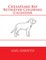 Chesapeake Bay Retriever Coloring Calendar
