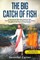 The Big Catch of Fish