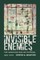 Invisible Enemies