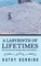 A Labyrinth of Lifetimes