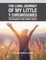 The Long Journey of My Little y Chromosomes