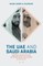 The Uae and Saudi Arabia