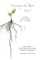 Venerating The Root