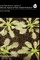 Molecular Aspects Plant Disease