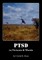 PTSD in Pictures & Words