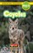 Coyotes
