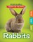 Rabbits