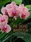 The Orchid Whisperer
