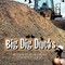 Big Dig Ducks