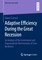 Adaptive Efficiency During the Great Recession