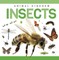 Insects