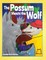The Possum Meets the Wolf