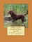 I Want A Pet American Water Spaniel
