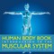 Human Body Book Introduction to the Muscular System Children's Anatomy & Physiology Edition