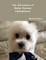 The Adventures of Bailey Buttons