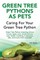 Green Tree Pythons as Pets