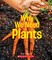 Why We Need Plants (a True Book: Incredible Plants!)