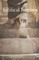 Biblical Heroes Volume One