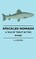 Speckled Nomads - A Tale Of Trout In Two Rivers