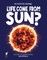 Did Life Come from the Sun?