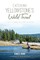 Catching Yellowstone's Wild Trout