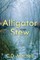 Alligator Stew
