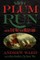 The Battle of Plum Run