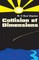 Collision of Dimensions