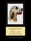 English Setter
