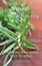 Natural Animal Healing - An Earth Lodge Pocket Guide to Holistic Pet Wellness