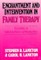 Enchantment and Intervention in Family Therapy