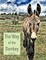 The Way of the Donkey